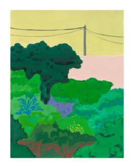 A painting by Cara Nahaul that is portrait in orientation and shows a bright, abstracted landscape. Large, green forms suggest bushes and trees, set against a pale pink patch of land and a pale yellow sky. A telephone wire dominates the top half of the painting. Anomie Publishing