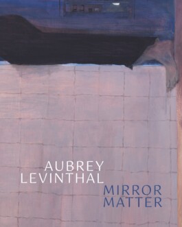 Book cover for 'Mirror Matter' by Aubrey Levinthal, which shows a detail of a painting with her name in white text and the book title in blue text Anomie Publishing
