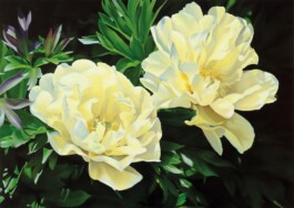 A painting by Des Lawrence of two pale yellow peonies in full bloom, surrounded by vibrant green leaves. Anomie Publishing